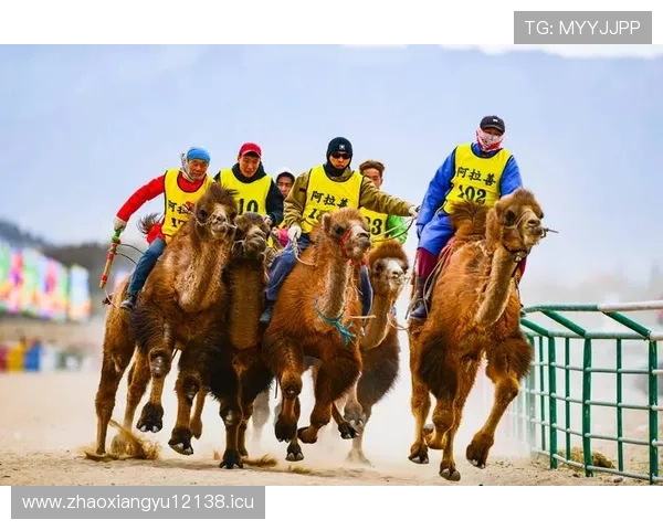 体育联赛有感（对体育赛事的感想）sports